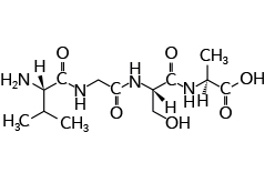 A tetrapeptide (example Val-Gly-Ser-Ala) amino end (L-valine), carboxyl end (L-alanine)